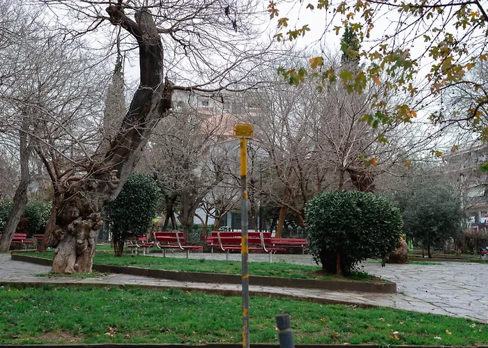 Office 2 By Vilfredo סלוניקי